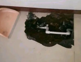肥东卫生间测漏水多少钱